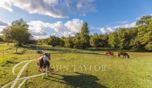 Venda Propriedade vinícola Sadirac