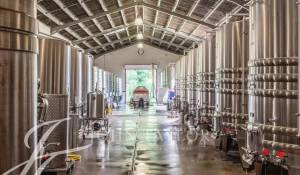 Venda Propriedade vinícola Sadirac