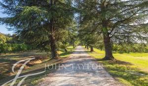 Venda Propriedade vinícola Sadirac