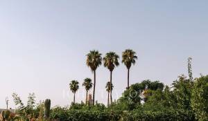 Venda Riad Marrakech