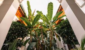 Venda Riad Marrakech