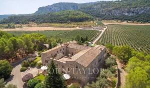 Venda Solar Puigpunyent