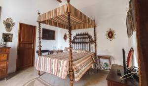 Venda Solar Puigpunyent