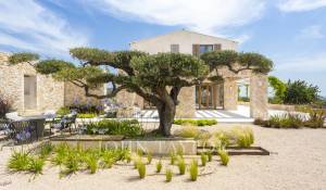 Venda Solar Santa Maria