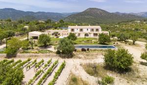 Venda Solar Santa Maria