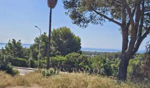 Venda Terreno Bendinat