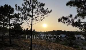 Venda Terreno Carvalhal