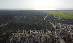 Venda Terreno Carvalhal