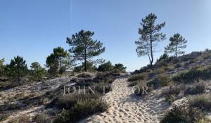 Venda Terreno Carvalhal