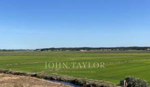 Venda Terreno Carvalhal