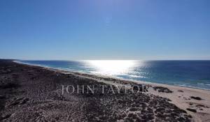 Venda Terreno Carvalhal