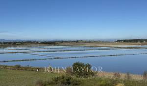 Venda Terreno Carvalhal