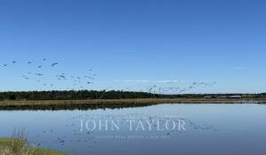 Venda Terreno Carvalhal