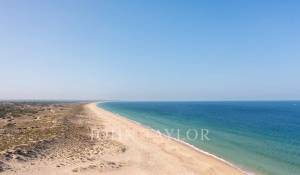 Venda Terreno Carvalhal