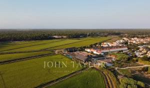 Venda Terreno Carvalhal