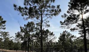 Venda Terreno Carvalhal