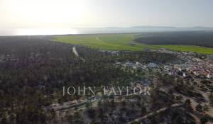 Venda Terreno Carvalhal