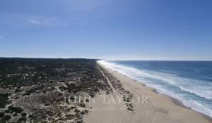 Venda Terreno Carvalhal