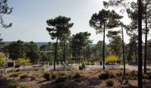 Venda Terreno Carvalhal