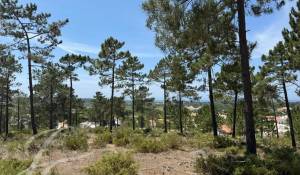 Venda Terreno Carvalhal