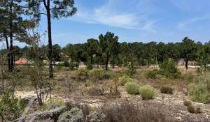 Venda Terreno Carvalhal