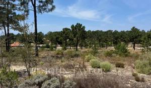 Venda Terreno Carvalhal