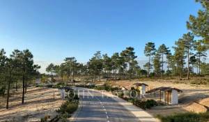 Venda Terreno Carvalhal