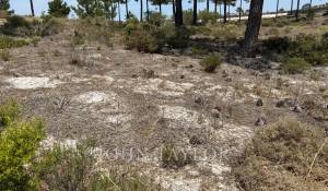 Venda Terreno Carvalhal