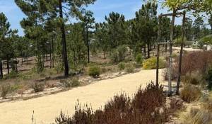 Venda Terreno Carvalhal