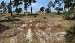 Venda Terreno Carvalhal