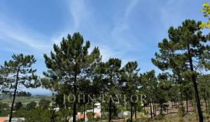 Venda Terreno Carvalhal