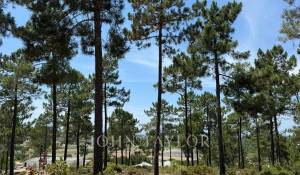 Venda Terreno Carvalhal