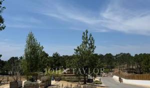 Venda Terreno Carvalhal