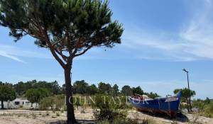 Venda Terreno Carvalhal