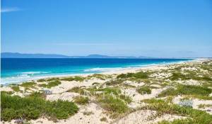 Venda Terreno Carvalhal