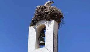 Venda Terreno Carvalhal