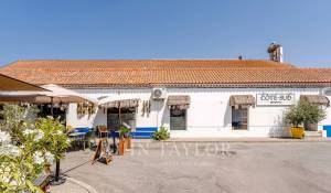 Venda Terreno Carvalhal