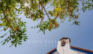 Venda Terreno Carvalhal