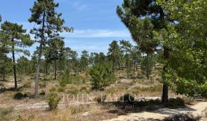 Venda Terreno Carvalhal