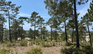 Venda Terreno Carvalhal