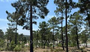 Venda Terreno Carvalhal