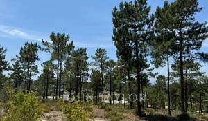 Venda Terreno Carvalhal