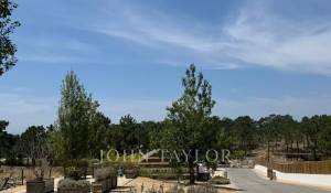 Venda Terreno Carvalhal