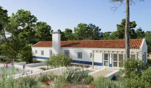 Venda Terreno Carvalhal