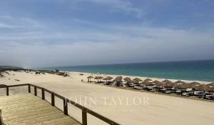 Venda Terreno Carvalhal