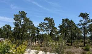 Venda Terreno Carvalhal