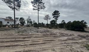 Venda Terreno Carvalhal