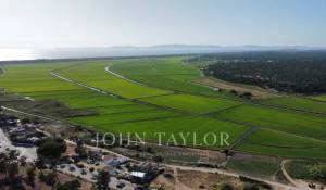 Venda Terreno Carvalhal