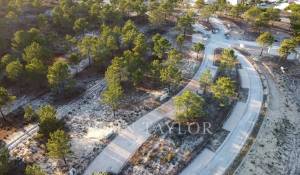 Venda Terreno Carvalhal