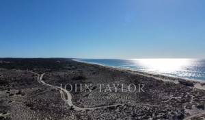 Venda Terreno Carvalhal